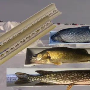 ice fishing fish measure tray