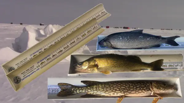 ice fishing fish measure tray